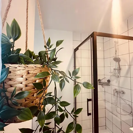 Pomme D'api - 319 Apartment *